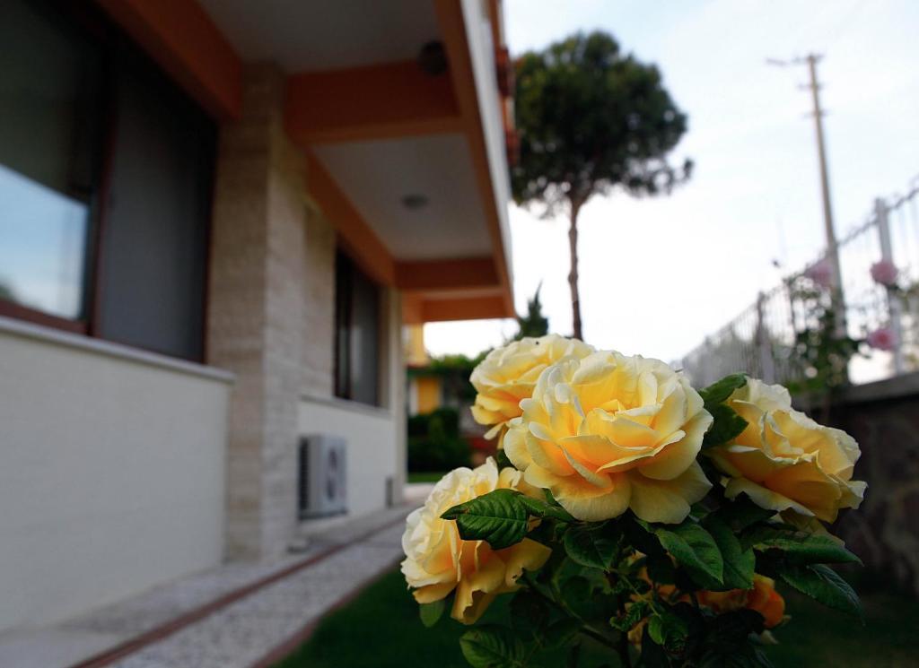 Villa Fokai Hotel Yenifoca Buitenkant foto